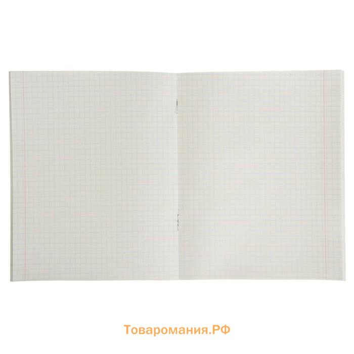 Тетрадь 48 листов в клетку Calligrata «Милые котята», обложка мелованный картон, блок №2, белизна 75% (серые листы), МИКС