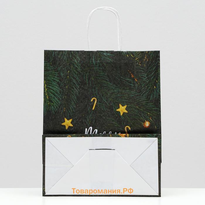 Пакет новогодний подарочный крафт «Снегопад», 22×12×27 см