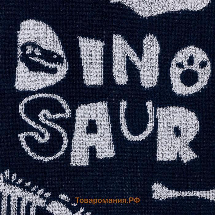 Полотенце махровое  Dinosaur, 70×130 см, 100% хлопок, 420 г/м², сине-белое