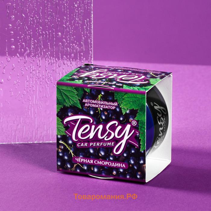 Ароматизатор на панель Tensy, чёрная смородина, 100 г, TZ-154