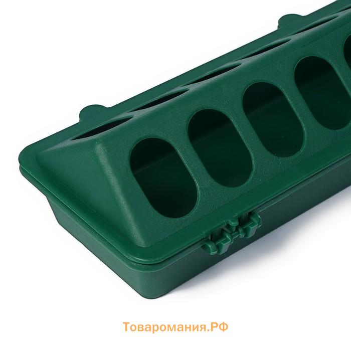 Кормушка - поилка для перепелов, 28 ячеек, лотковая, пластик, цвет зелёный
