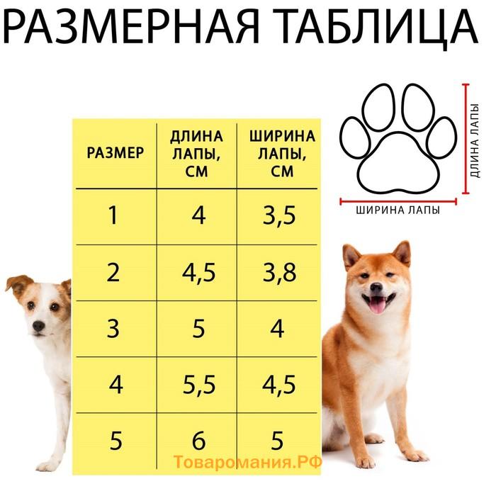 Ботинки "Кристмес", набор 4 шт, 1 размер, красные