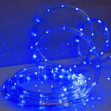 Гирлянда светодиодная, световой шнур Lighting, 10 мм, IP65, 20 м, 24 LED/м, 220 В, 8 режимов, свечение синее