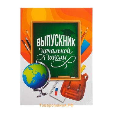 Папка на выпускной «Выпускник начальной школы», А4, без файлов