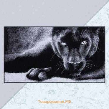 Полотенце махровое  «Пантера» 70×130 см, 100% хлопок, 420 г/м², чёрно-белое