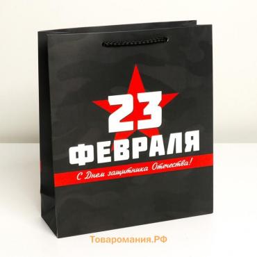 Пакет подарочный ламинированный вертикальный, упаковка, «С 23 февраля», M 26 х 30 х 9 см